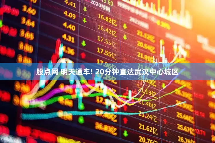 股点网 明天通车! 20分钟直达武汉中心城区