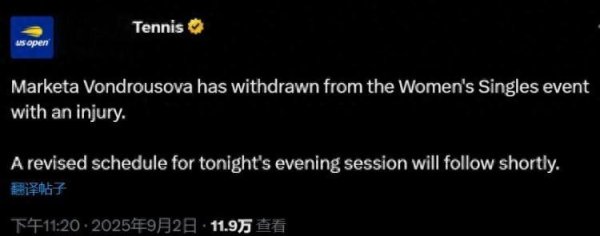 信弘优配 万卓索娃赛前因伤退赛, 萨巴伦卡收获退赛礼直接晋级美网女单4强