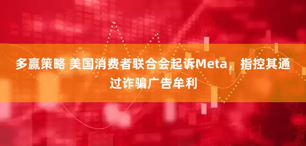多赢策略 美国消费者联合会起诉Meta，指控其通过诈骗广告牟利