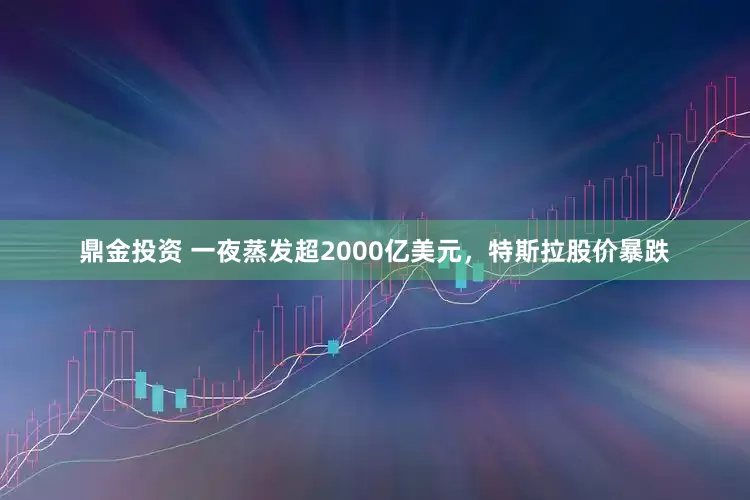鼎金投资 一夜蒸发超2000亿美元，特斯拉股价暴跌